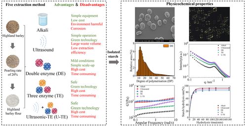 不同提取方式对青稞淀粉结构的影响解析